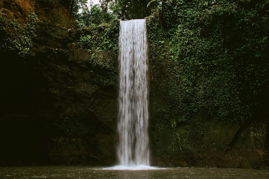 Tour a las cascadas de Bali