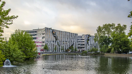 Instagram tour of Düsseldorf with a private local guide