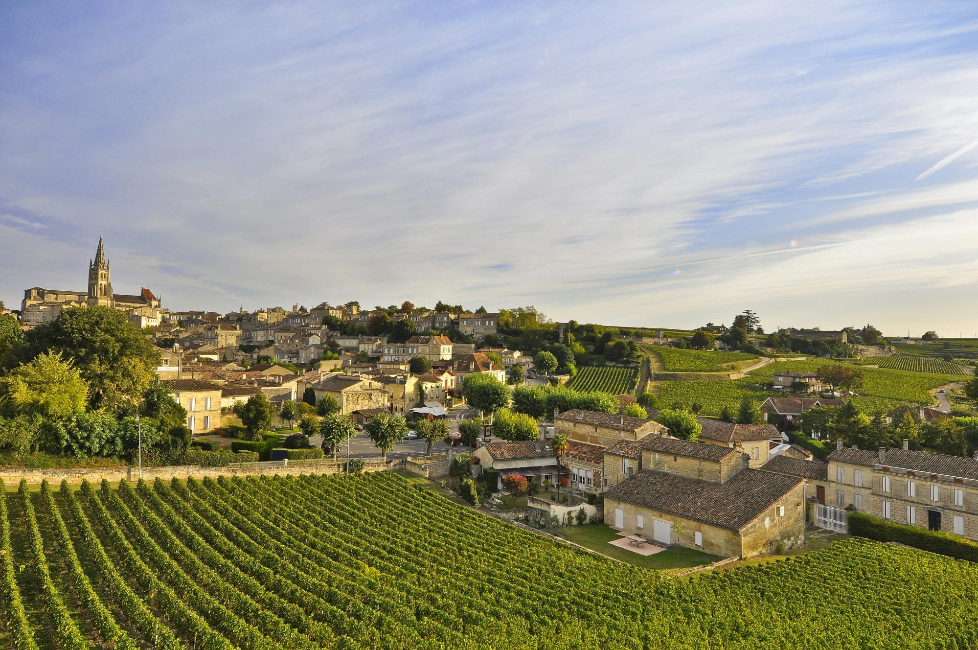 Wijntour van een hele dag met lunch in Saint-Emilion vanuit Bordeaux