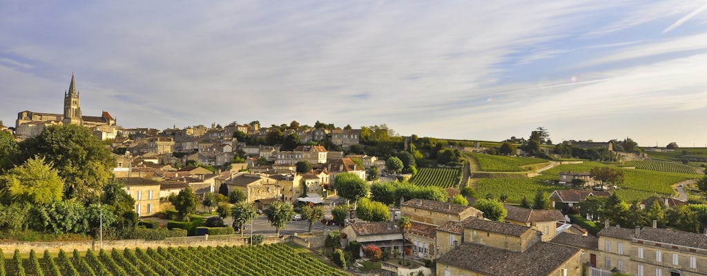 Full-day wine tour with lunch in Saint-Emilion from Bordeaux