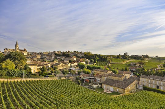 Tour de vino de día completo con almuerzo en Saint-Emilion desde Burdeos