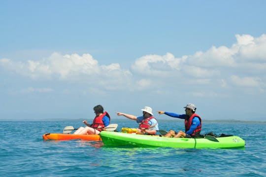 Halbtägige Biesanz Bay Kajak & Schnorchel Tour mit Transfer