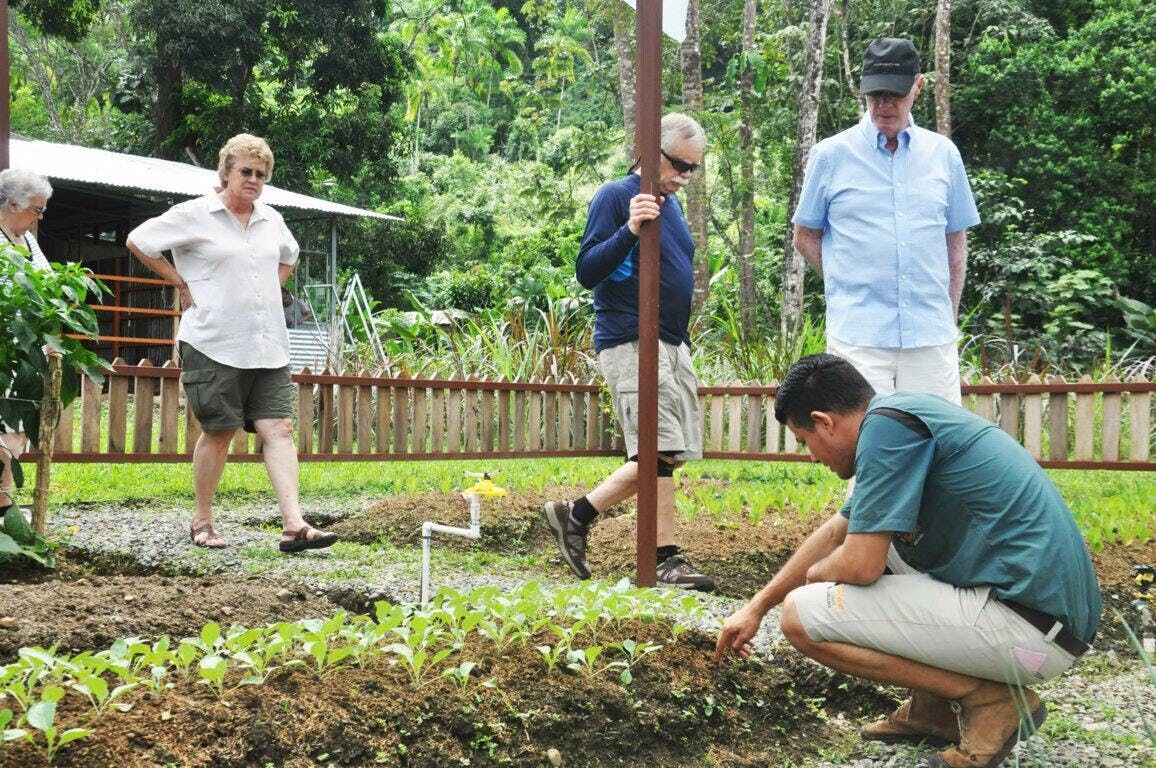 Quepos Farmers Market Tour & Cooking Class