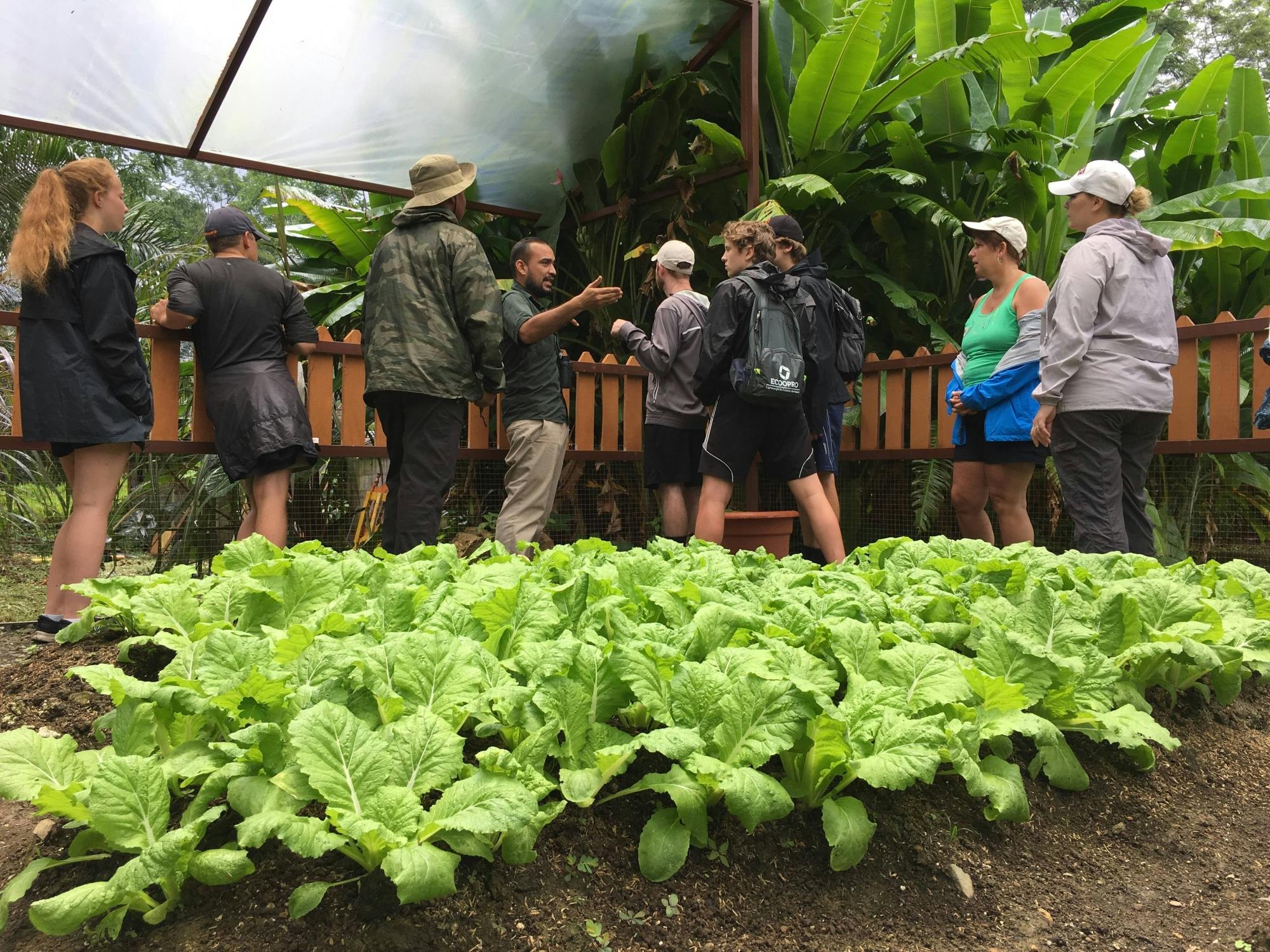 Quepos Farmers Market Tour & Cooking Class