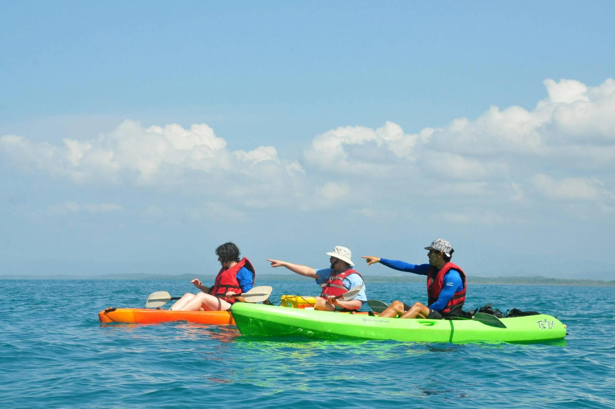 Halve dag Biesanz Bay Kayak & Snorkel Tour met Transfer