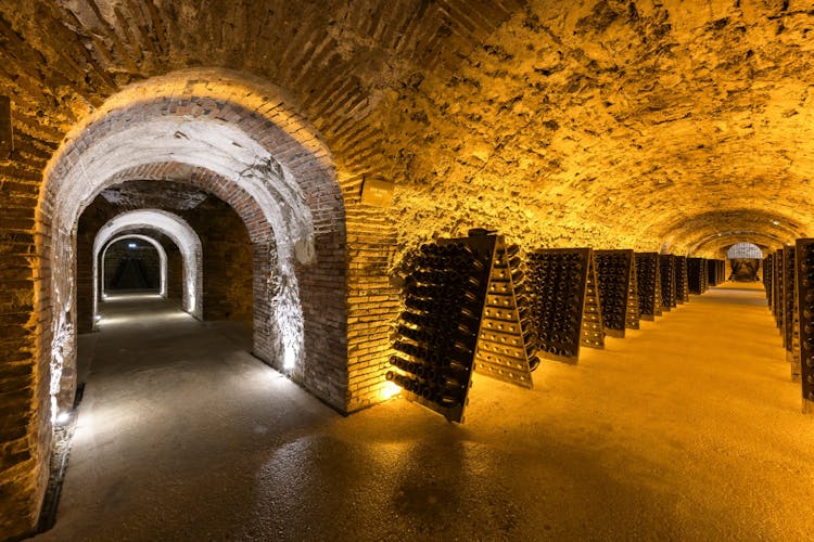 "Millésime" guided tour of the Boizel Champagne house with tasting