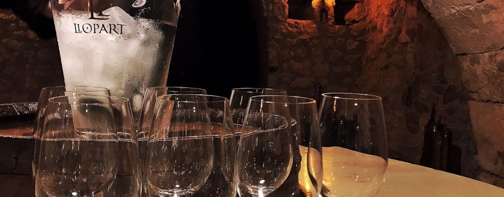 Weingutsführungen mit Wein- und Sektprobe in Katalonien
