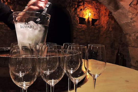 Visite in cantina con degustazione di vini e spumanti in Catalogna