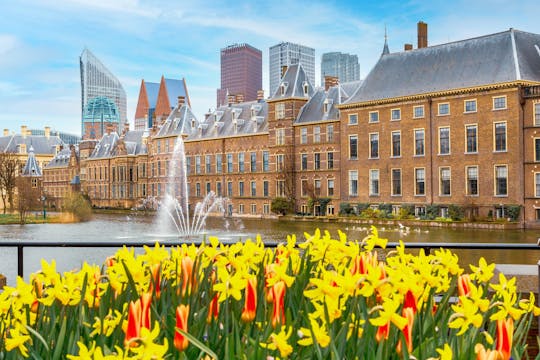 Behind the scenes of the royal city of Hague guided tour