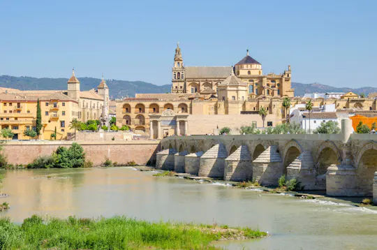 Biglietto d'ingresso per adulti alla Moschea-Cattedrale di Cordoba con audio tour