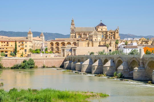 Cordoba Mosque-Cathedral adult entrance ticket with audio tour