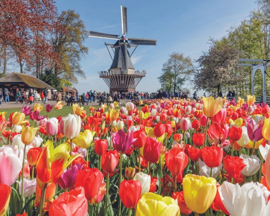 1-day tour to Keukenhof and Zaanse Schans from Amsterdam