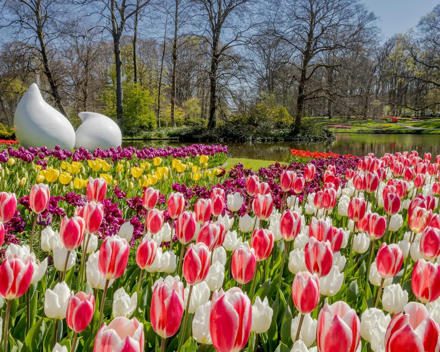 Windmill Village Zaanse Schans à votre guise depuis Amsterdam