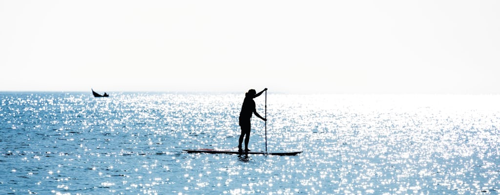 Exclusieve Parasail en Stand-up Paddleboard Combo