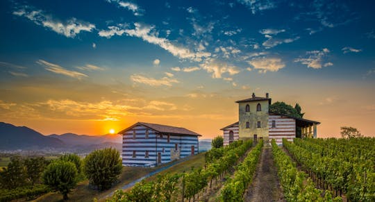 Bergamo and Franciacorta by private minivan from Milan