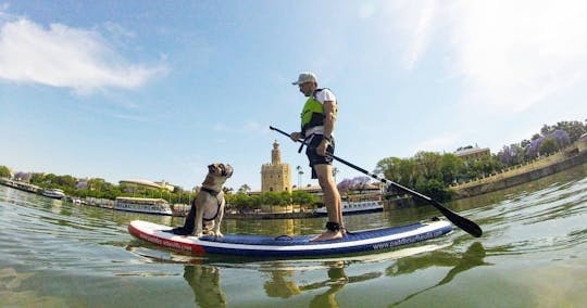 Paddle surf de 90 minutes avec expérience canine à Séville