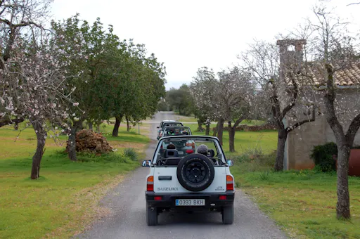 4x4 Dragon Discovery Tour