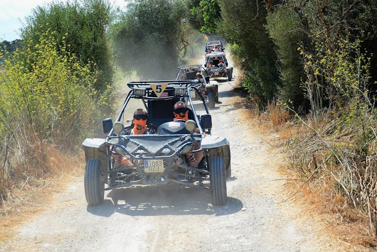 Majorca Dragon Buggy Tour