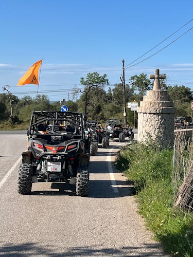 Majorca Dragon Buggy Tour