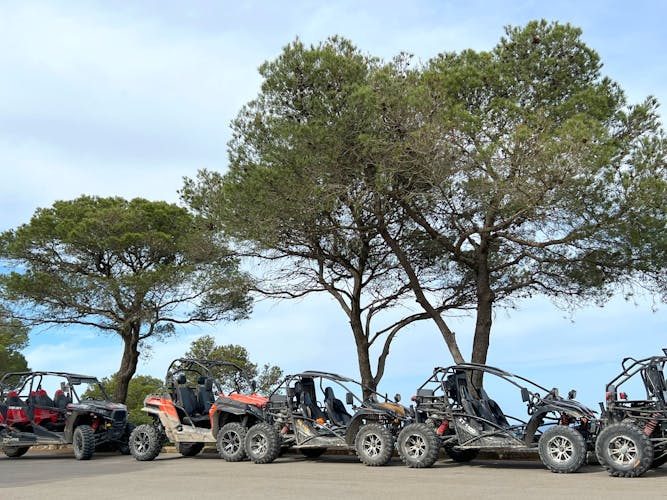 Majorca Dragon Buggy Tour