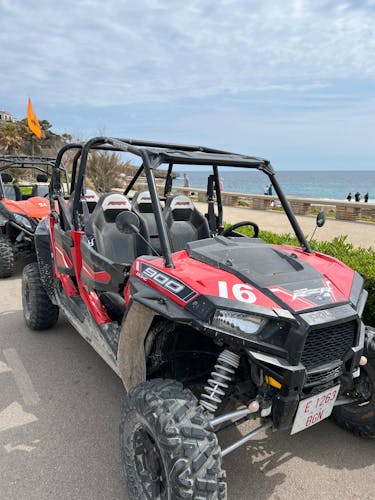 Majorca Dragon Buggy Tour