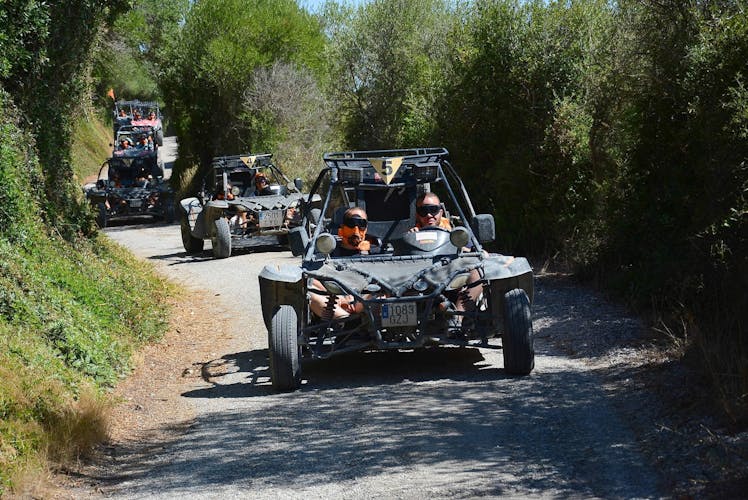 Majorca Dragon Buggy Tour