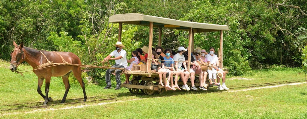 Henequen Plantation Estate Tour with Lunch