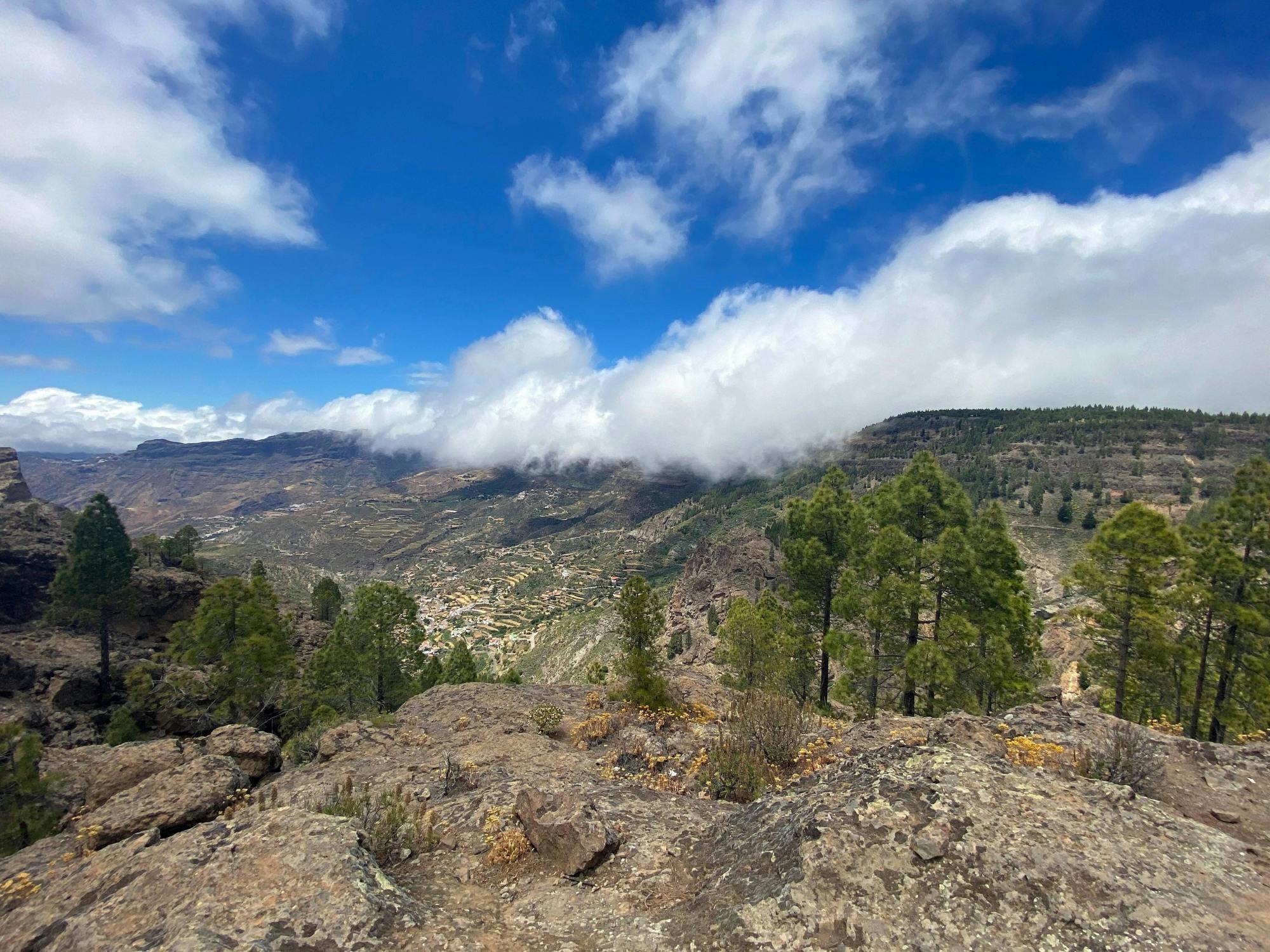 Full-day Gran Canaria tour with Teror, Tejeda and typical lunch