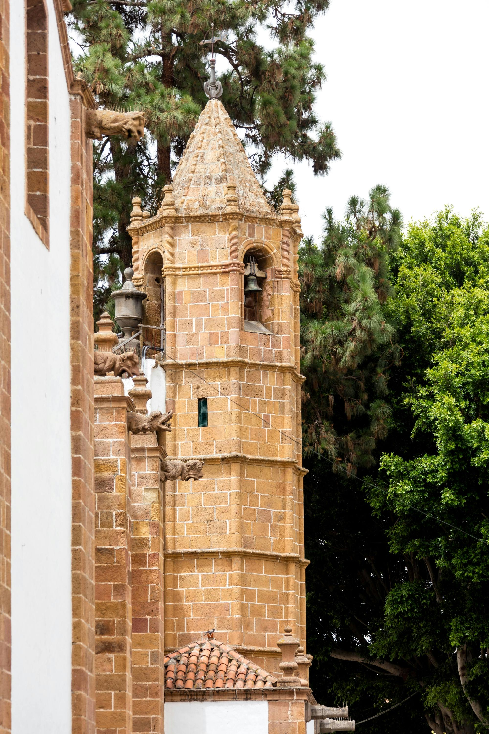 Gran Canaria Tour with Teror, Tejeda and Lunch in Fataga