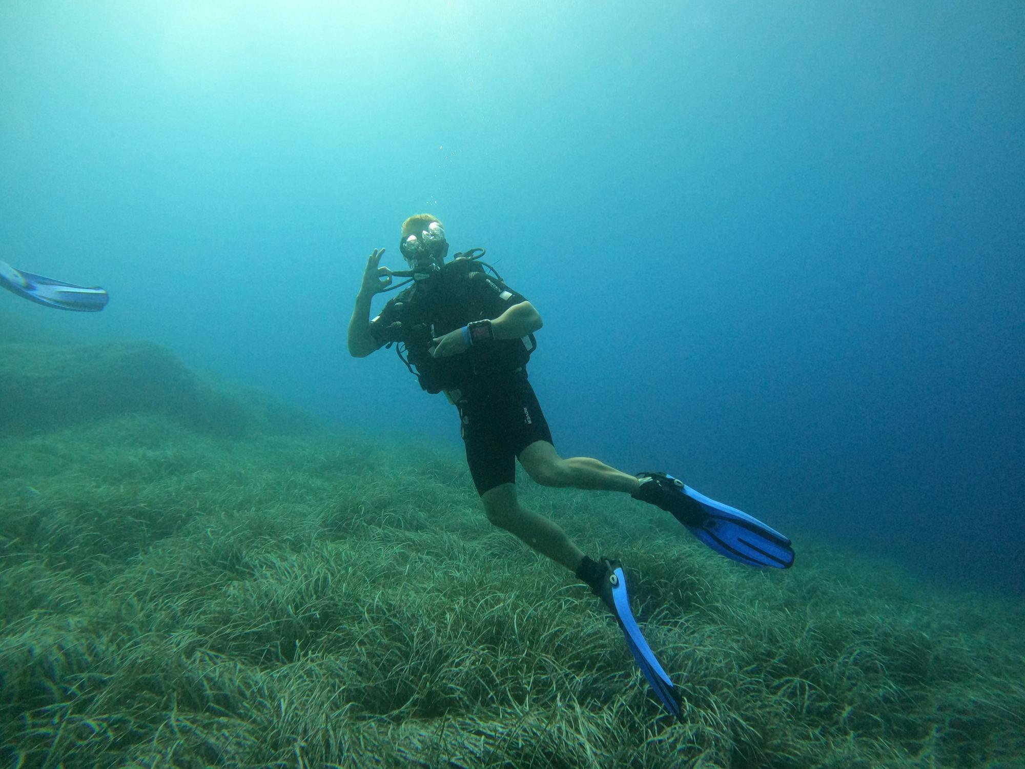 Single guided dive in the Bay of Pollensa