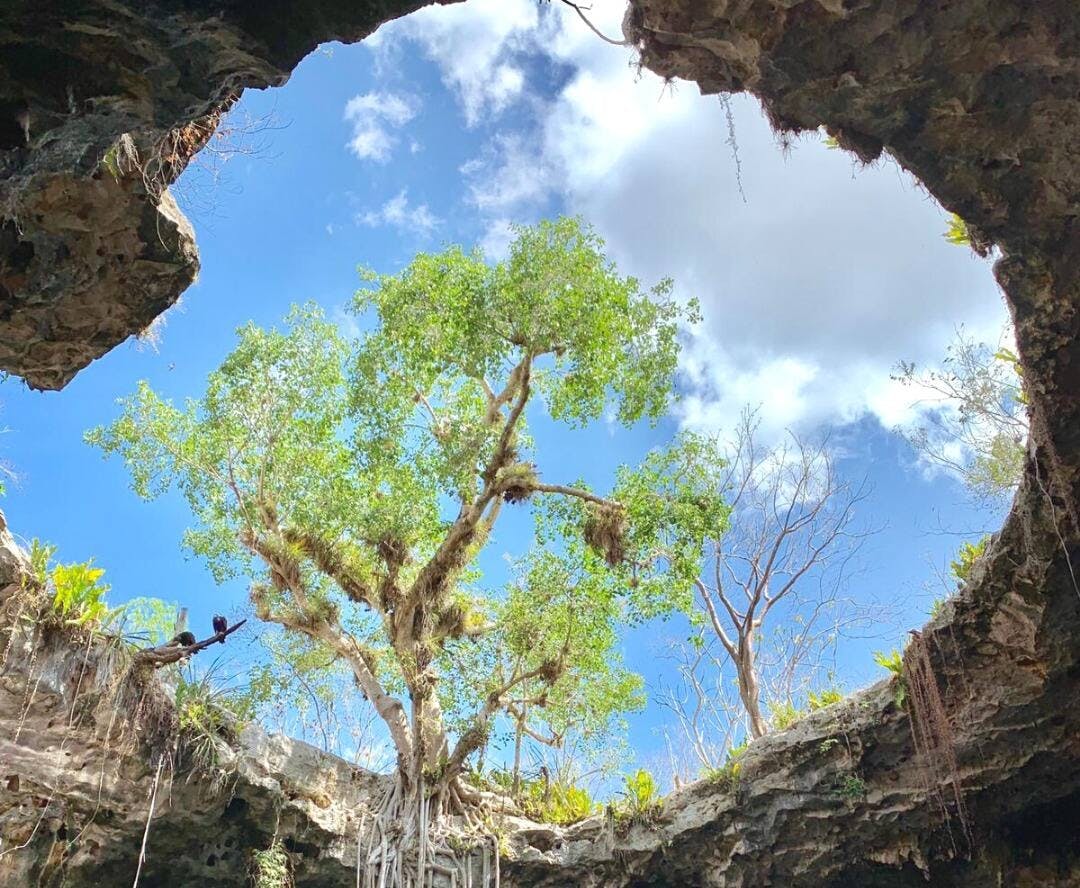 Santa Barbara Cenotes Bike Tour