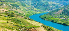 Das Douro Tal