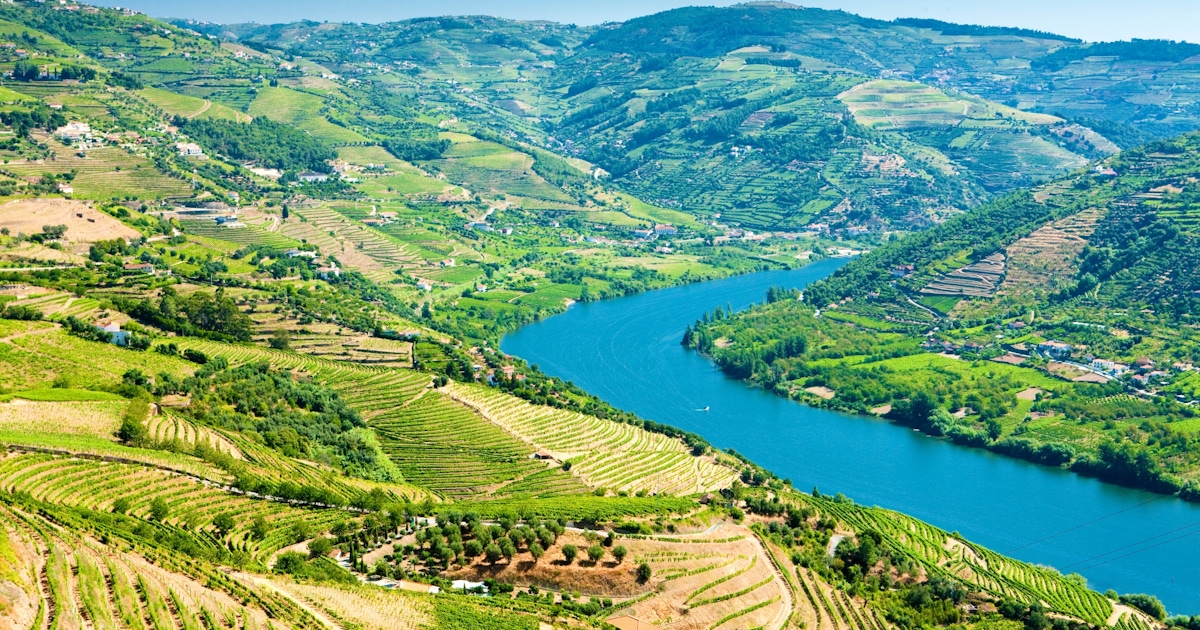 Douro Valley tours and activities