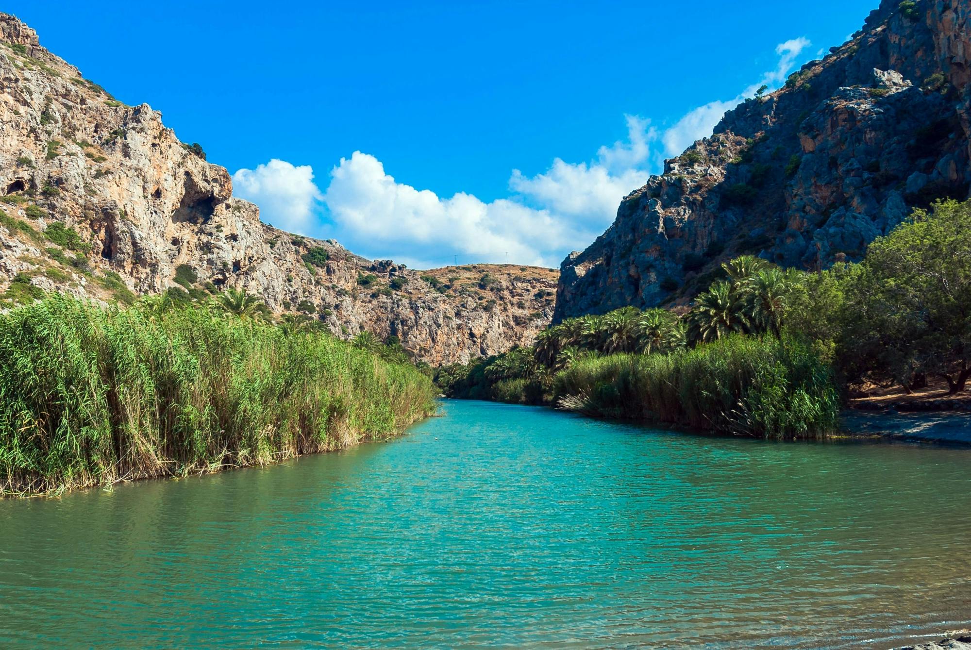 Preveli Palm Beach by Boat with Taverna Lunch