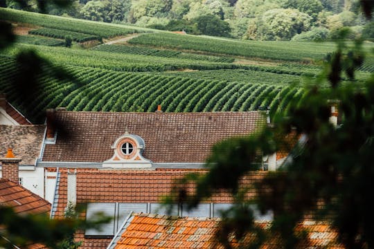 Visita guiada privada às caves Canard Duchêne