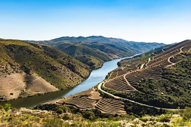 Douro Valley full-day tour with 4×4 adventure, boat trip and lunch
