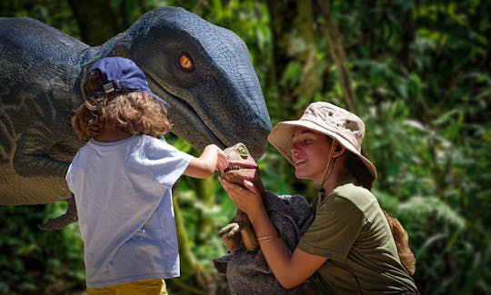 Hams Caves and Dinosaurland full-day trip from South area