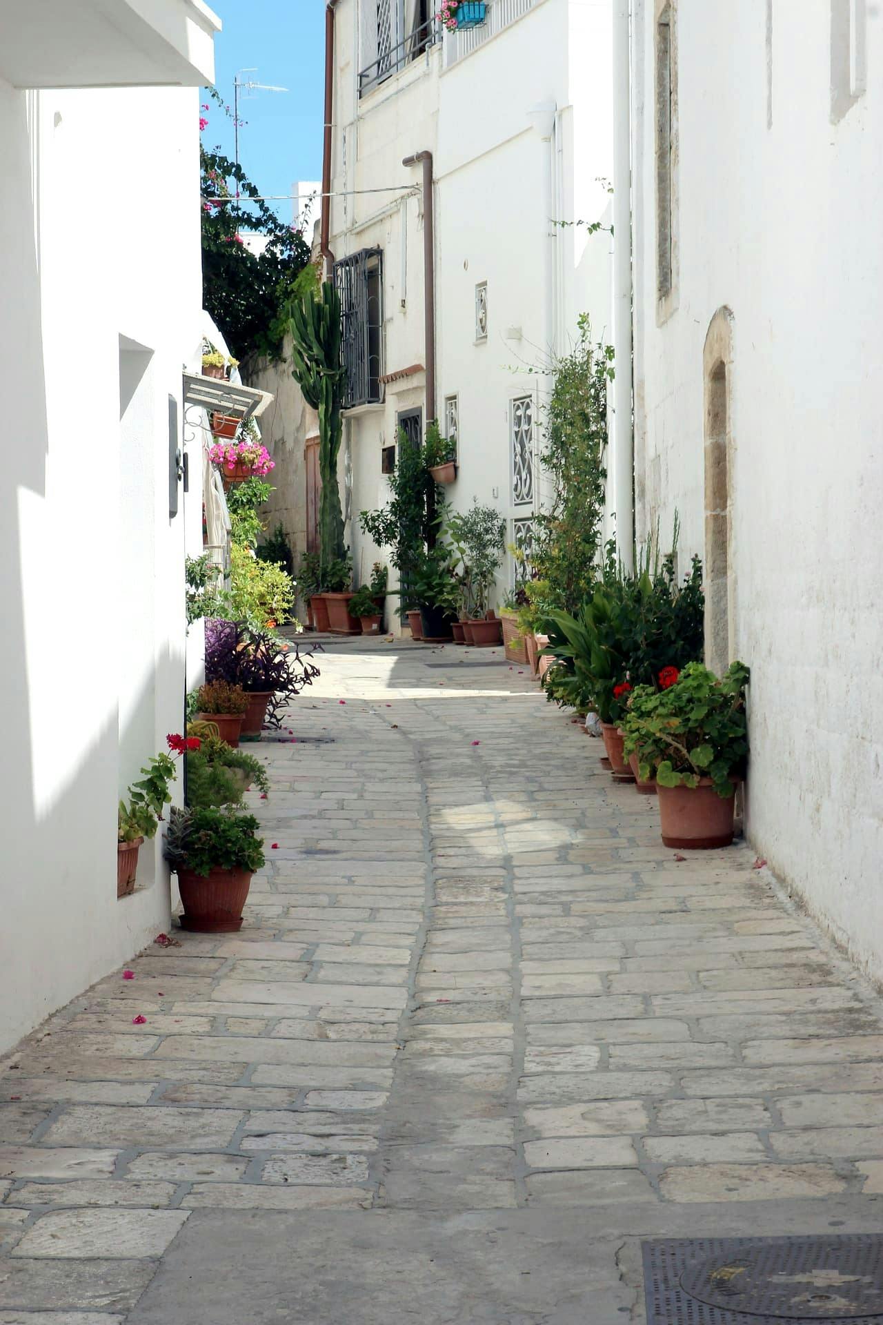 Half Day Private Tour of Ostuni with Olive Oil Tasting