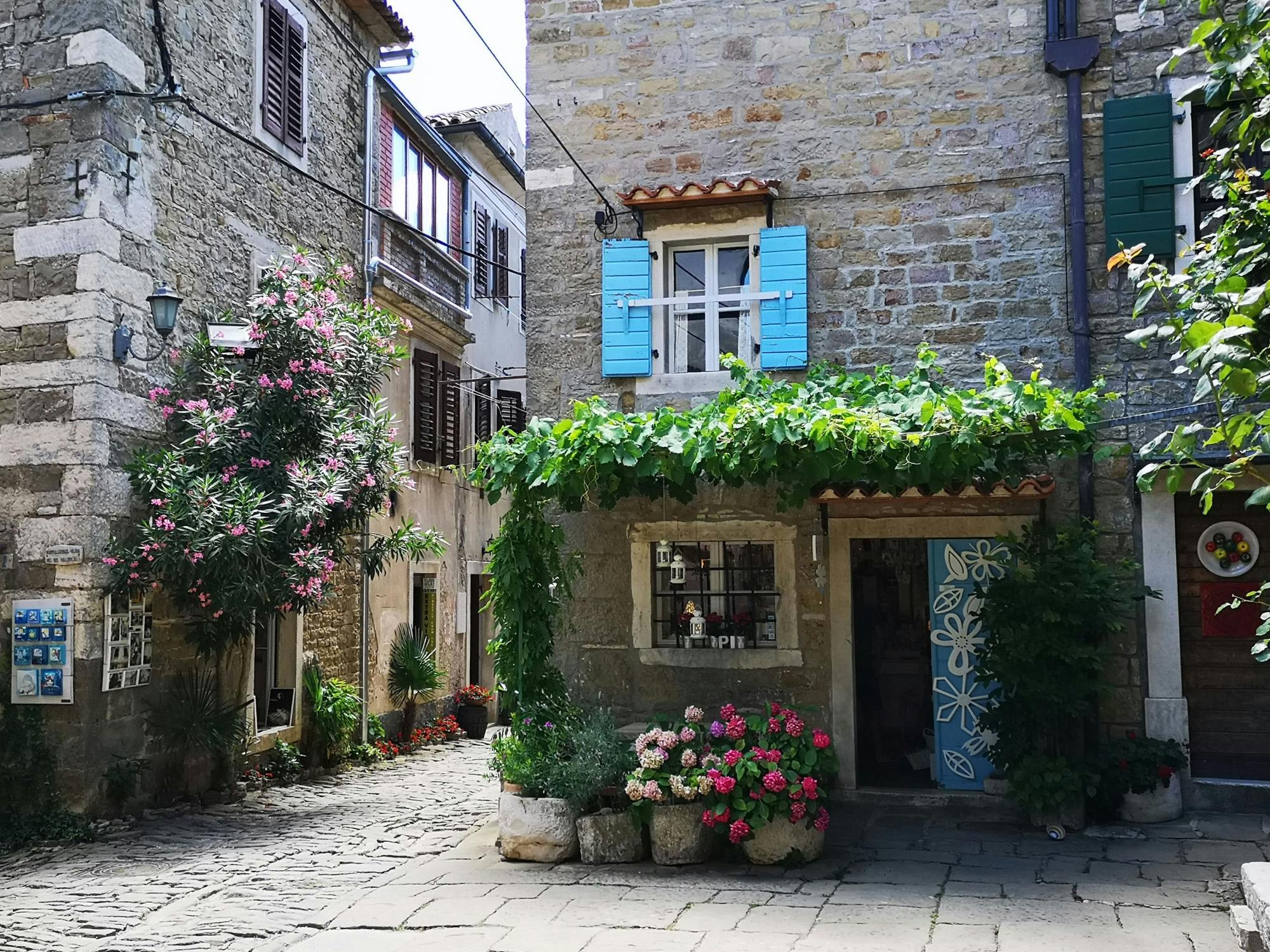 Tour por los pueblos de las colinas de Istria con degustación de especialidades locales