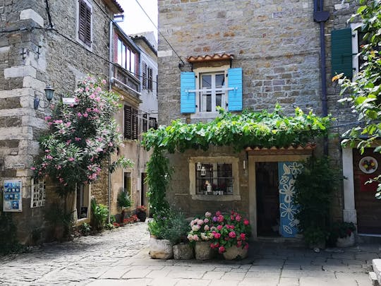 Visite des villages des collines d'Istrie avec dégustation de spécialités locales