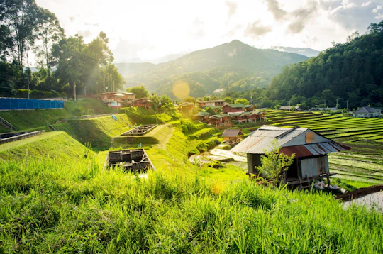 Doi Inthanon National Park Small Group Tour