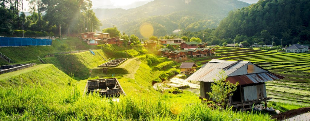 Doi Inthanon National Park Small Group Tour