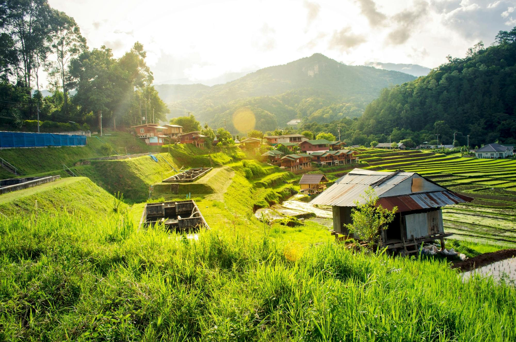 Doi Inthanon Nationaal Park Kleine Groepstocht