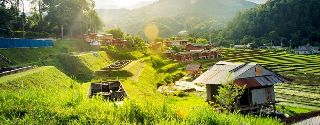 Doi Inthanon National Park Small Group Tour