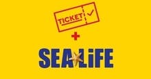 Biglietto combinato LEGOLAND® Discovery Center e SEA LIFE Aquarium Kansas City