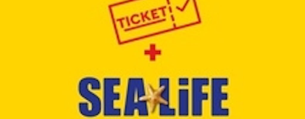 Biglietto combinato LEGOLAND® Discovery Center e SEA LIFE Aquarium Kansas City