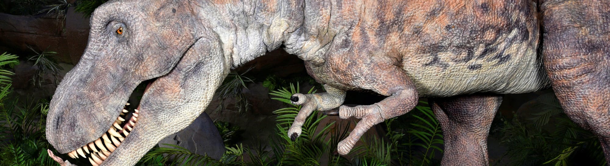 Eintrittskarten für Dinópolis Teruel