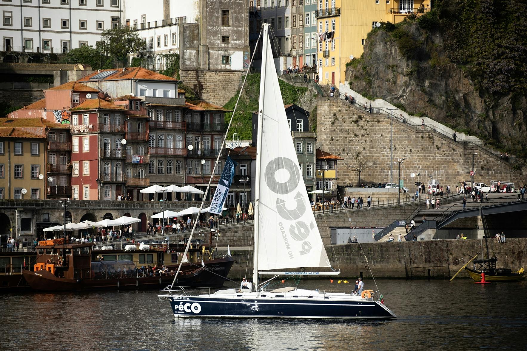 Douro-boottocht van 2 uur met een kleine groep