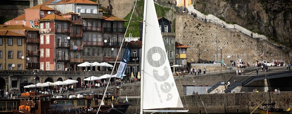2-stündige Bootstour auf dem Fluss Douro in kleiner Gruppe