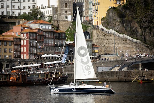 Tour in barca sul fiume Douro di 2 ore per piccoli gruppi